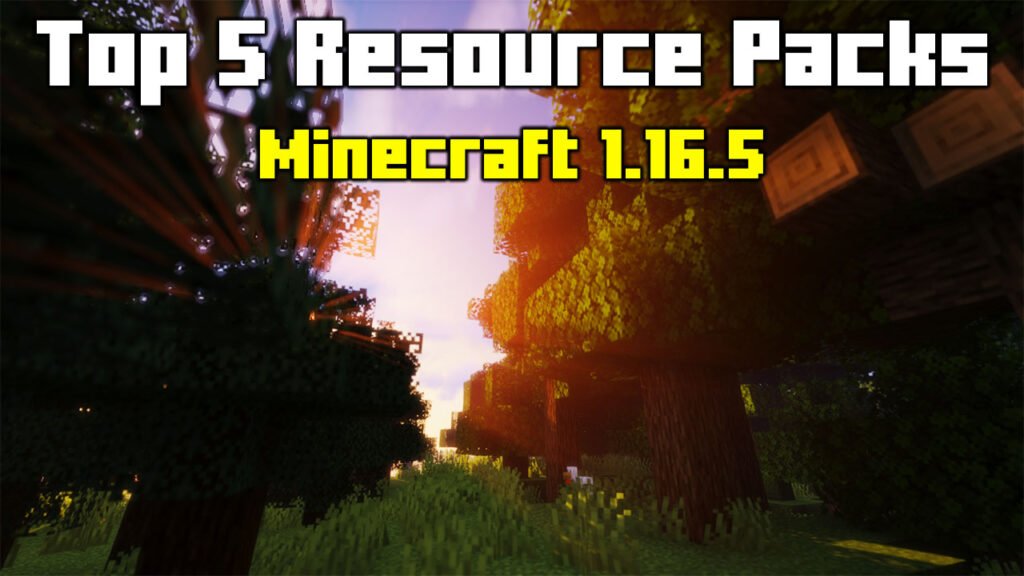 Top 5 Minecraft 1.16.5 Resource Packs (2021)
