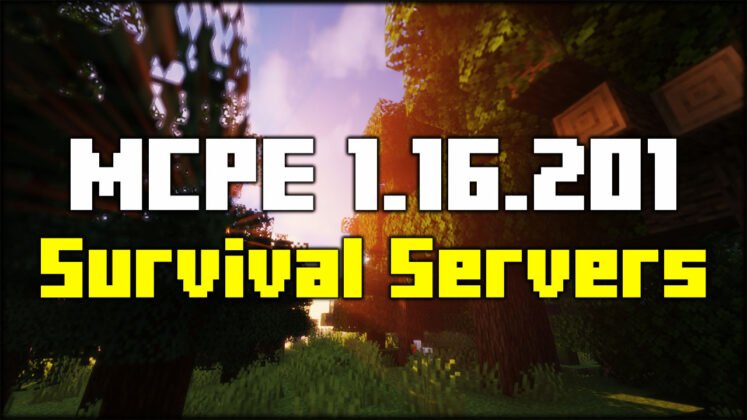 minecraft survival games server 2022